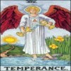 14：節制 The Temperanceの意味と解説